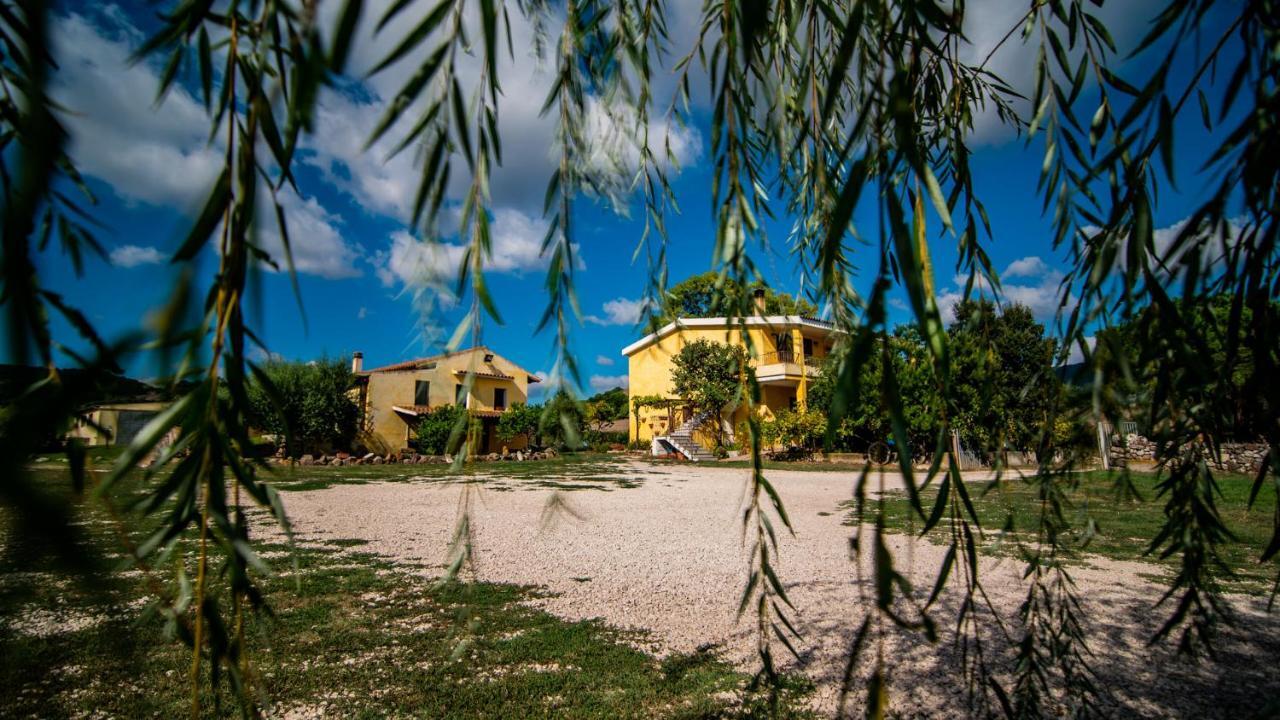 Agriturismo Carrucana Martis المظهر الخارجي الصورة