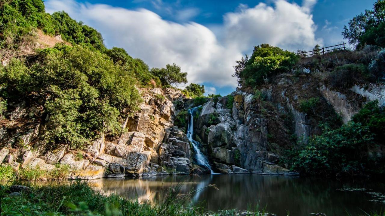 Agriturismo Carrucana Martis المظهر الخارجي الصورة